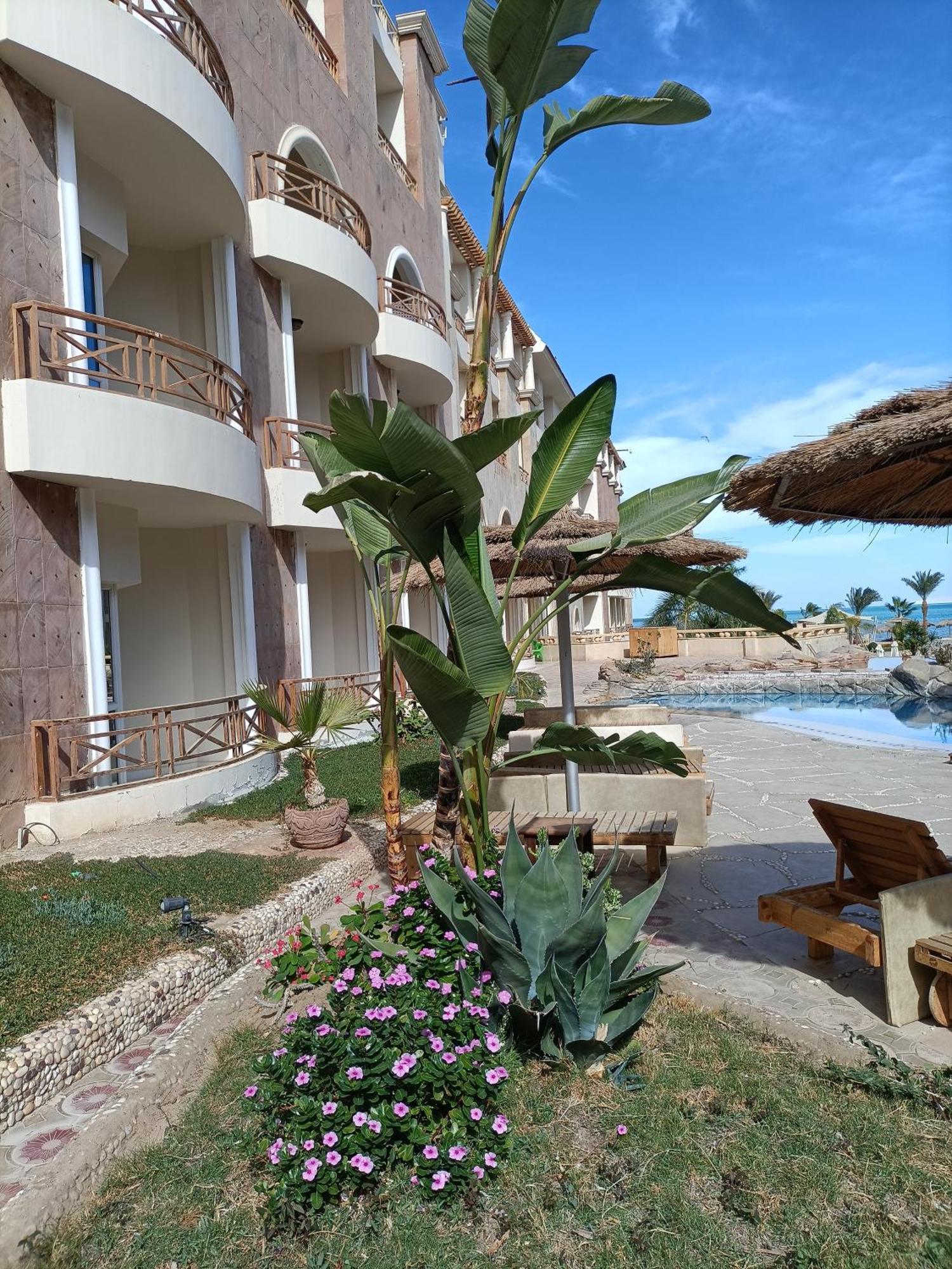 Tony'S Privy Beds By Red Sea Apartment Hurghada Exterior photo